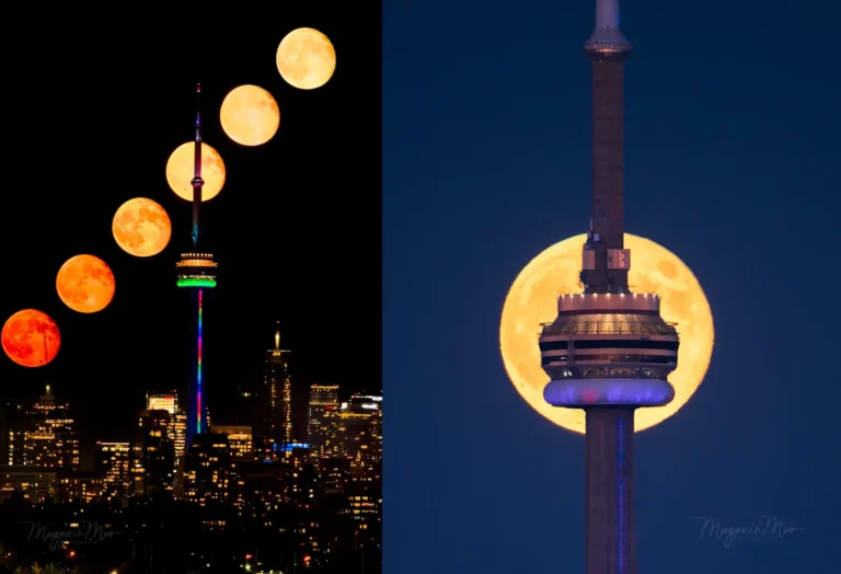 Shoot the Moon with Toronto photographer Michele Thompson: Webinar Workshop on Lunar Alignments